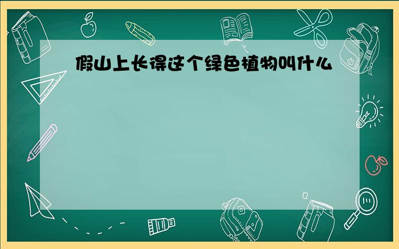 假山上长得这个绿色植物叫什么