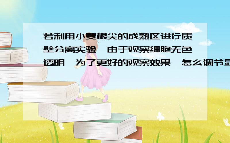 若利用小麦根尖的成熟区进行质壁分离实验,由于观察细胞无色透明,为了更好的观察效果,怎么调节显微镜