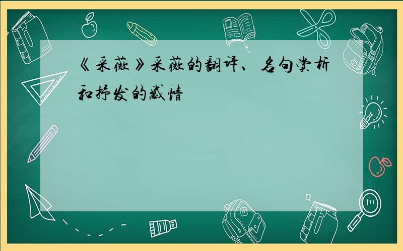 《采薇》采薇的翻译、名句赏析和抒发的感情