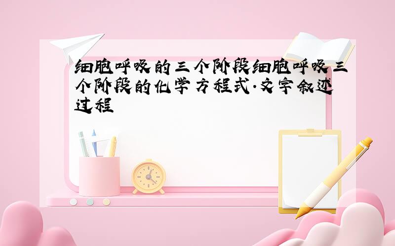 细胞呼吸的三个阶段细胞呼吸三个阶段的化学方程式.文字叙述过程