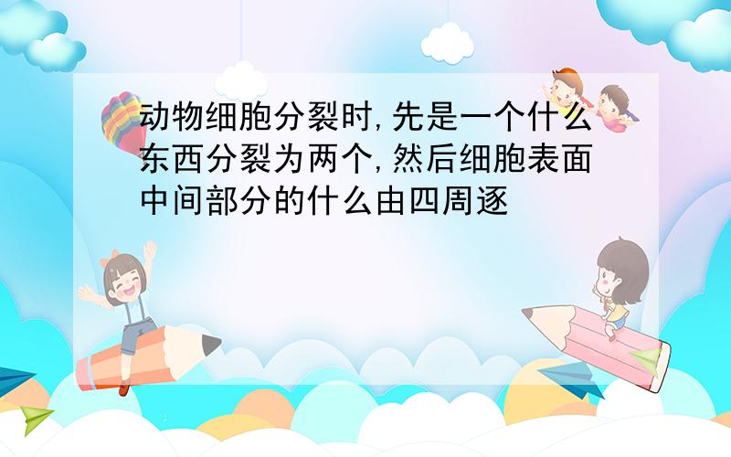 动物细胞分裂时,先是一个什么东西分裂为两个,然后细胞表面中间部分的什么由四周逐