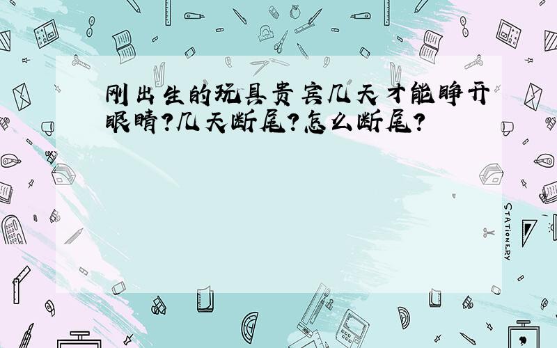 刚出生的玩具贵宾几天才能睁开眼睛?几天断尾?怎么断尾?