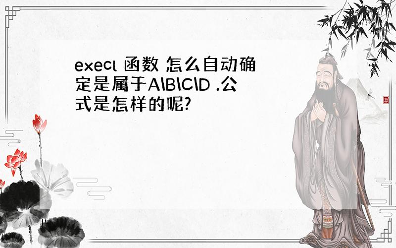 execl 函数 怎么自动确定是属于A\B\C\D .公式是怎样的呢?