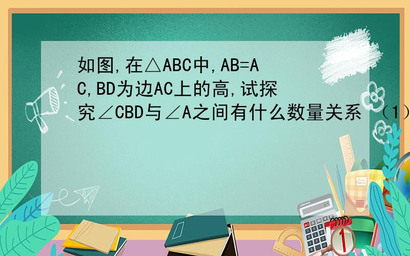 如图,在△ABC中,AB=AC,BD为边AC上的高,试探究∠CBD与∠A之间有什么数量关系 （1）我量角器量完了