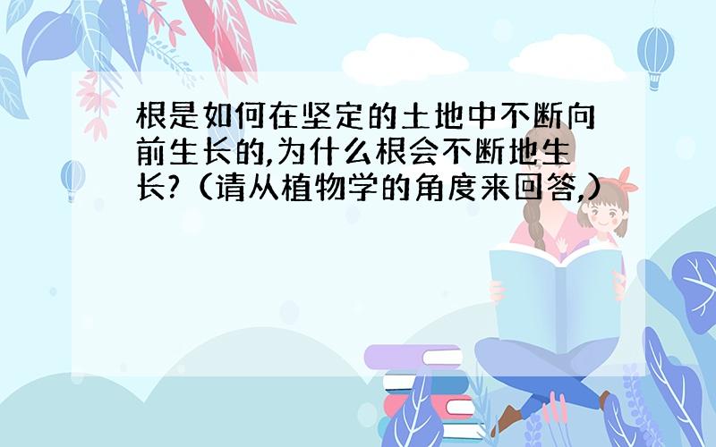 根是如何在坚定的土地中不断向前生长的,为什么根会不断地生长?（请从植物学的角度来回答,）