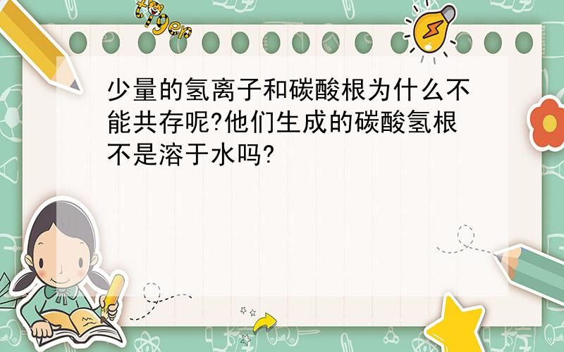 少量的氢离子和碳酸根为什么不能共存呢?他们生成的碳酸氢根不是溶于水吗?