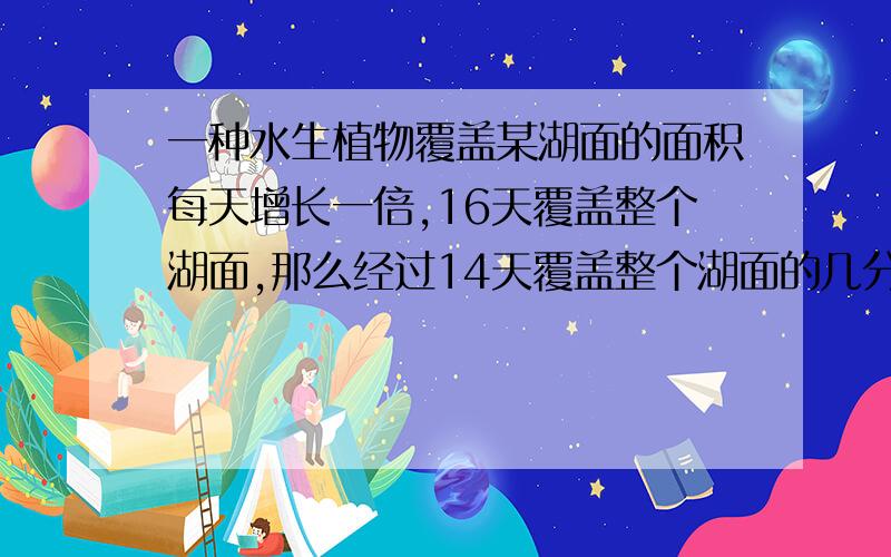 一种水生植物覆盖某湖面的面积每天增长一倍,16天覆盖整个湖面,那么经过14天覆盖整个湖面的几分之几?