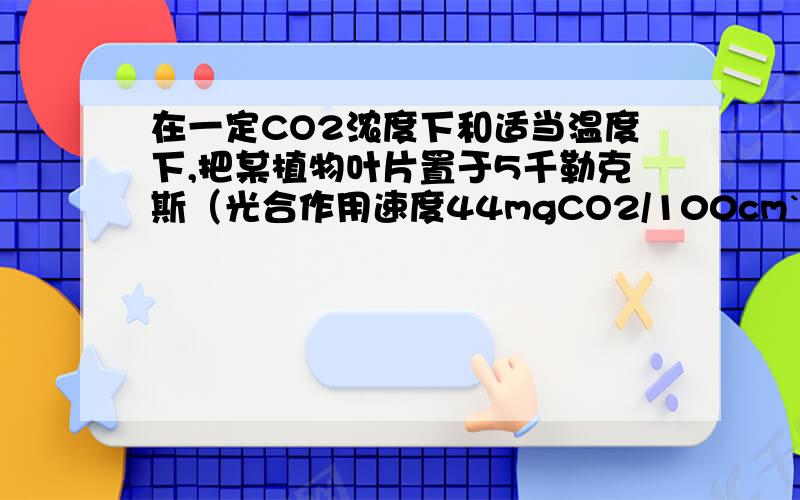 在一定CO2浓度下和适当温度下,把某植物叶片置于5千勒克斯（光合作用速度44mgCO2/100cm`2 叶 小时）光照下