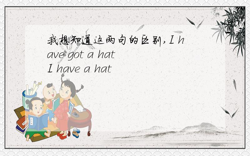 我想知道这两句的区别,I have got a hat I have a hat