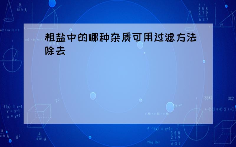 粗盐中的哪种杂质可用过滤方法除去