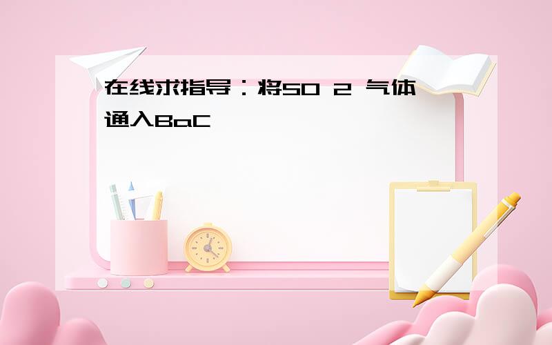 在线求指导：将SO 2 气体通入BaC