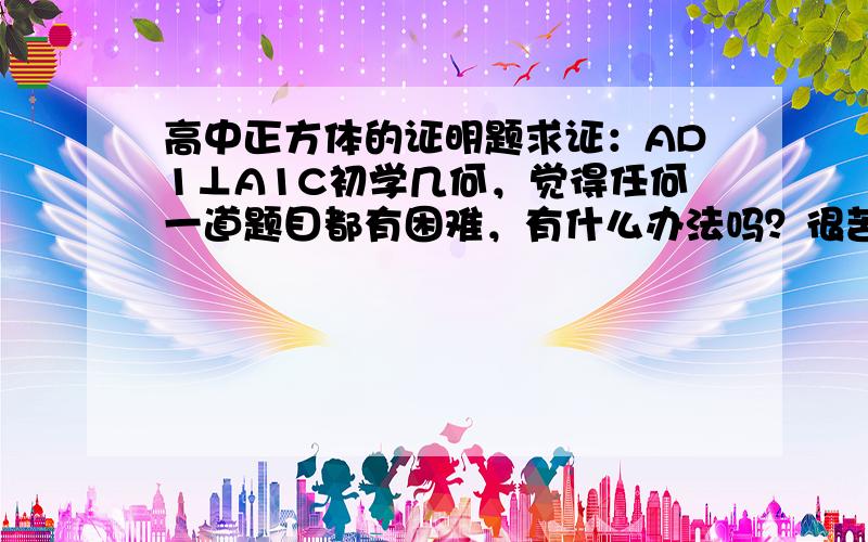 高中正方体的证明题求证：AD1⊥A1C初学几何，觉得任何一道题目都有困难，有什么办法吗？很苦恼