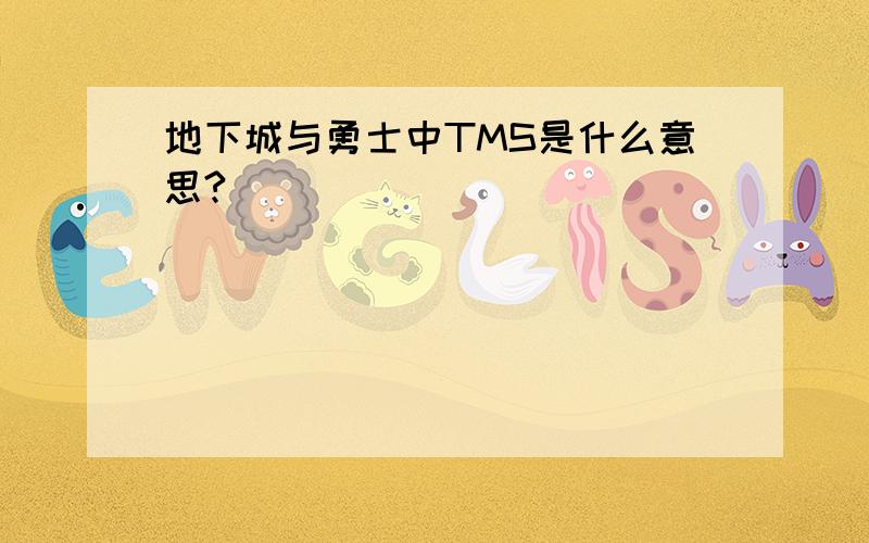 地下城与勇士中TMS是什么意思?