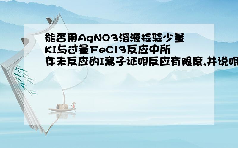 能否用AgNO3溶液检验少量KI与过量FeCl3反应中所存未反应的I离子证明反应有限度,并说明理由