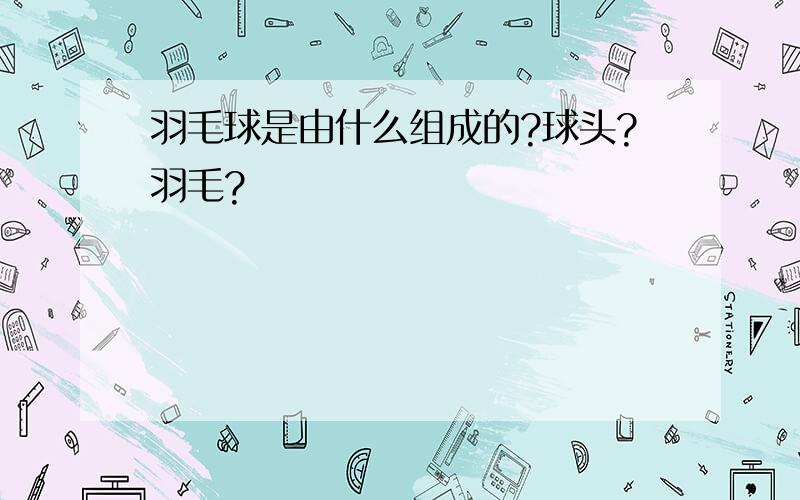 羽毛球是由什么组成的?球头?羽毛?