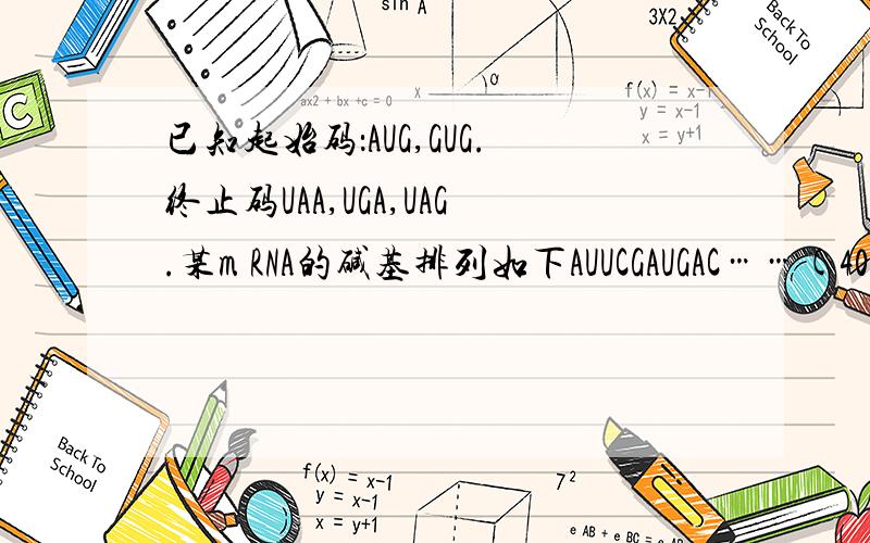 已知起始码：AUG,GUG.终止码UAA,UGA,UAG.某m RNA的碱基排列如下AUUCGAUGAC……(40个碱基