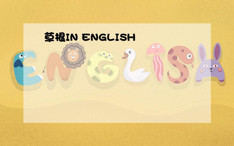 草根IN ENGLISH