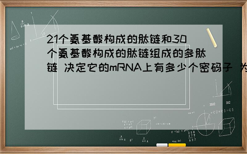 21个氨基酸构成的肽链和30个氨基酸构成的肽链组成的多肽链 决定它的mRNA上有多少个密码子 为什么