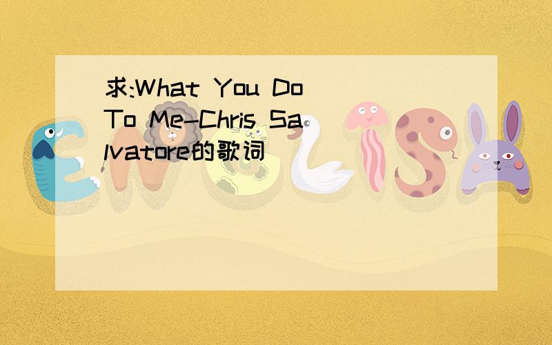 求:What You Do To Me-Chris Salvatore的歌词