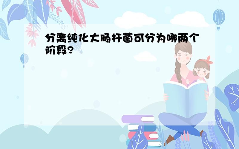 分离纯化大肠杆菌可分为哪两个阶段?