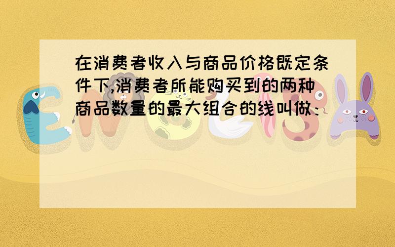 在消费者收入与商品价格既定条件下,消费者所能购买到的两种商品数量的最大组合的线叫做：（　）