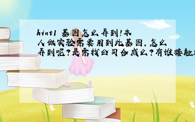 hint1 基因怎么弄到!本人做实验需要用到此基因,怎么弄到呢?是需找公司合成么?有谁接触过此基因么?谢