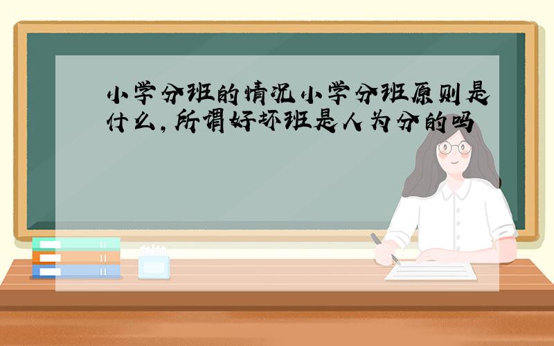 小学分班的情况小学分班原则是什么,所谓好坏班是人为分的吗