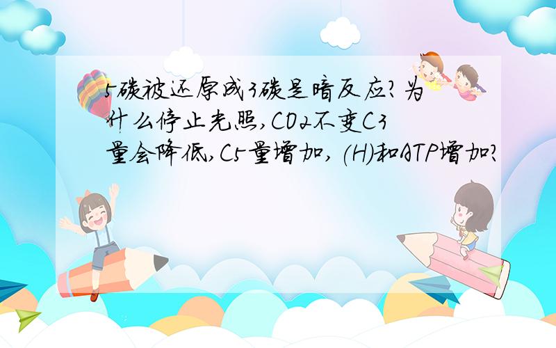 5碳被还原成3碳是暗反应?为什么停止光照,CO2不变C3量会降低,C5量增加,(H)和ATP增加?