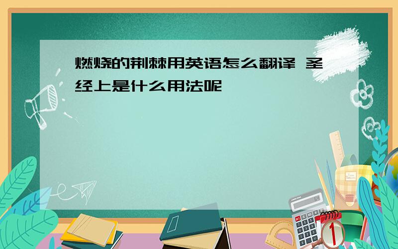 燃烧的荆棘用英语怎么翻译 圣经上是什么用法呢