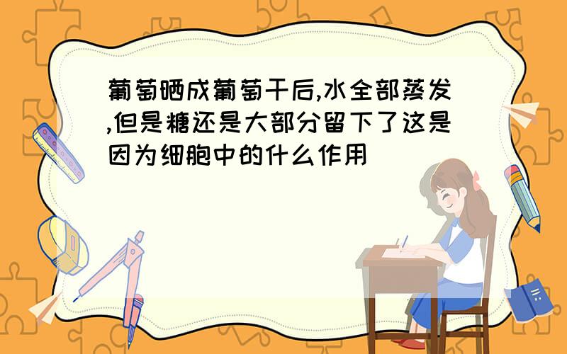 葡萄晒成葡萄干后,水全部蒸发,但是糖还是大部分留下了这是因为细胞中的什么作用