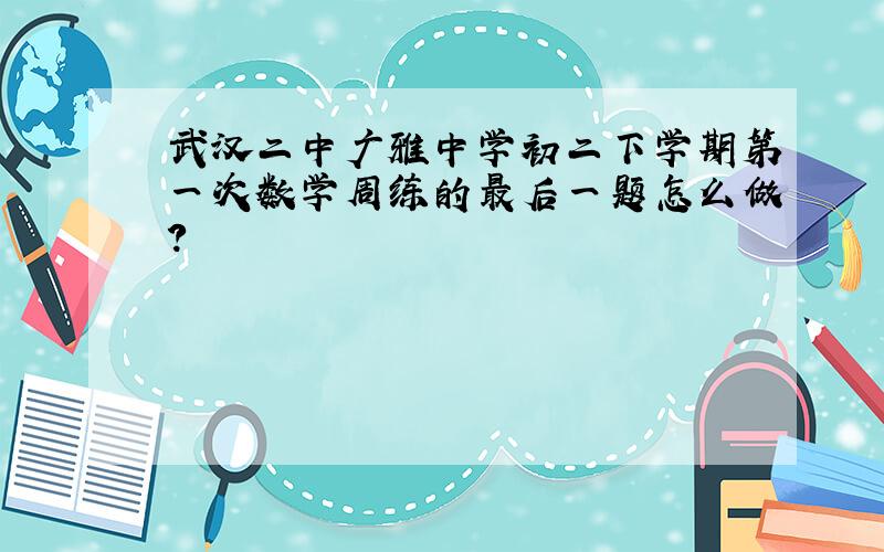 武汉二中广雅中学初二下学期第一次数学周练的最后一题怎么做?