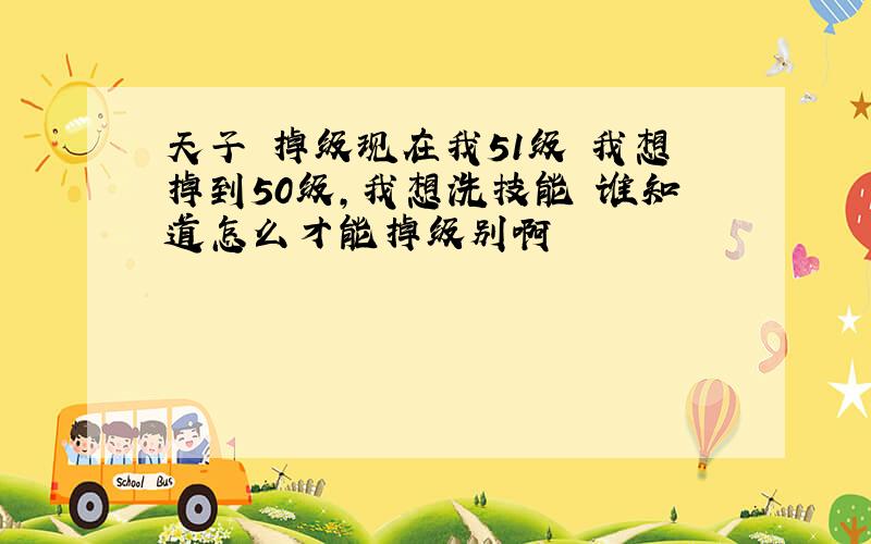 天子 掉级现在我51级 我想掉到50级,我想洗技能 谁知道怎么才能掉级别啊