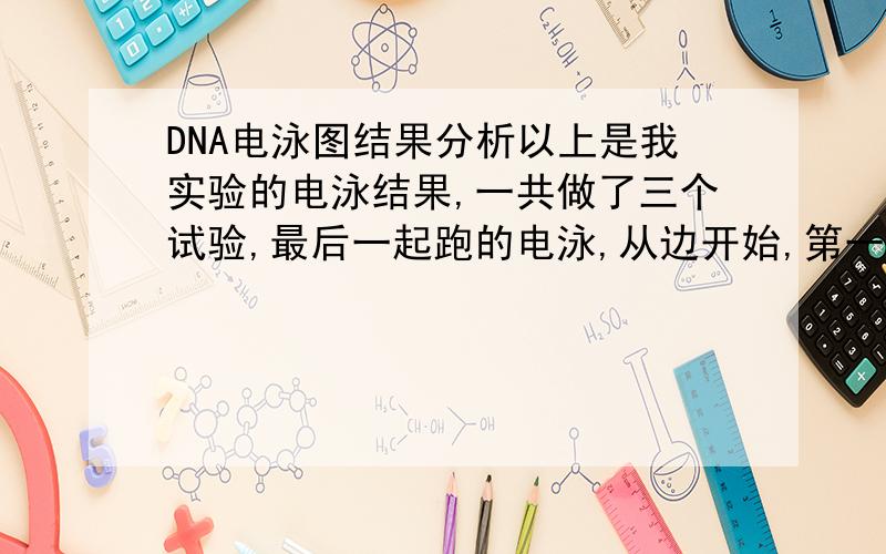 DNA电泳图结果分析以上是我实验的电泳结果,一共做了三个试验,最后一起跑的电泳,从边开始,第一个是mark,第二个是质粒