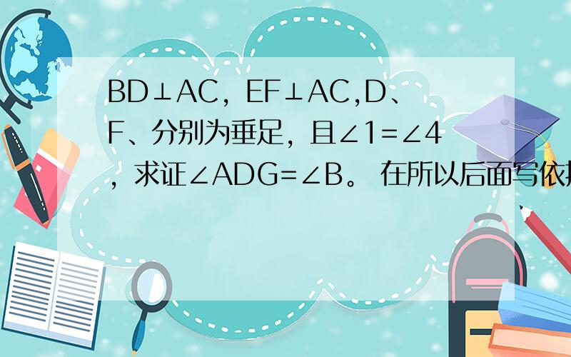 BD⊥AC，EF⊥AC,D、F、分别为垂足，且∠1=∠4，求证∠ADG=∠B。 在所以后面写依据 不能用三角形内角和来求