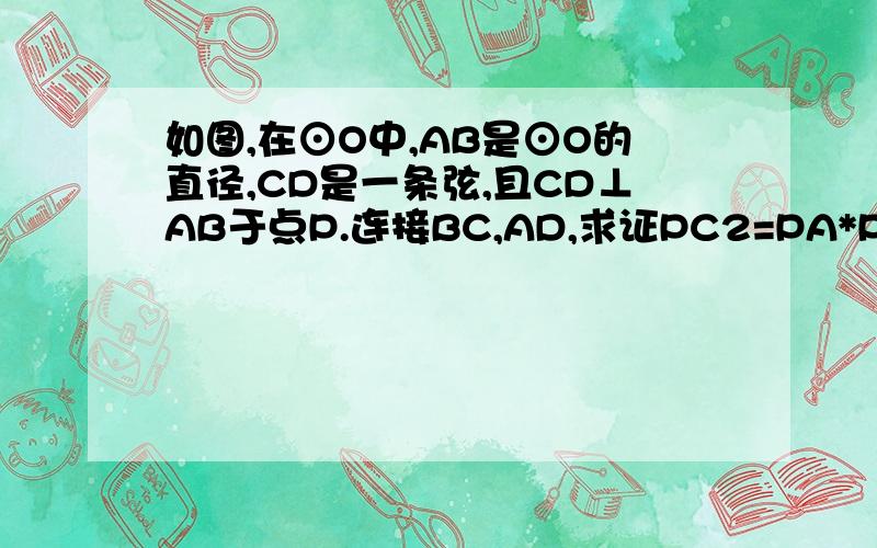 如图,在⊙O中,AB是⊙O的直径,CD是一条弦,且CD⊥AB于点P.连接BC,AD,求证PC2=PA*PB