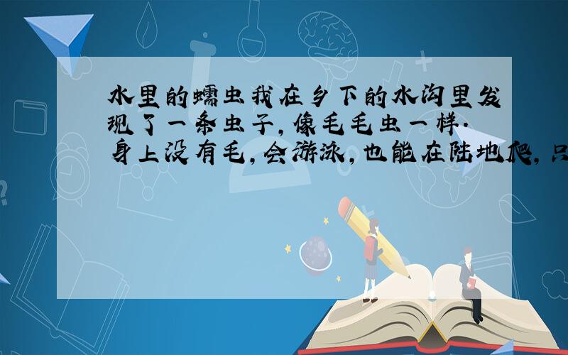 水里的蠕虫我在乡下的水沟里发现了一条虫子,像毛毛虫一样.身上没有毛,会游泳,也能在陆地爬,只有三对足,有一个大大的颚.据