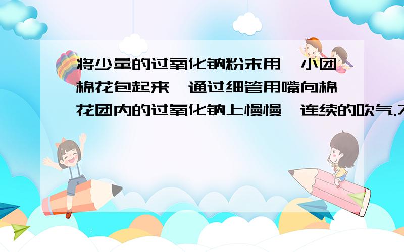 将少量的过氧化钠粉末用一小团棉花包起来,通过细管用嘴向棉花团内的过氧化钠上慢慢、连续的吹气.不久,会有什么现象产生?为什