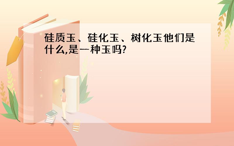 硅质玉、硅化玉、树化玉他们是什么,是一种玉吗?