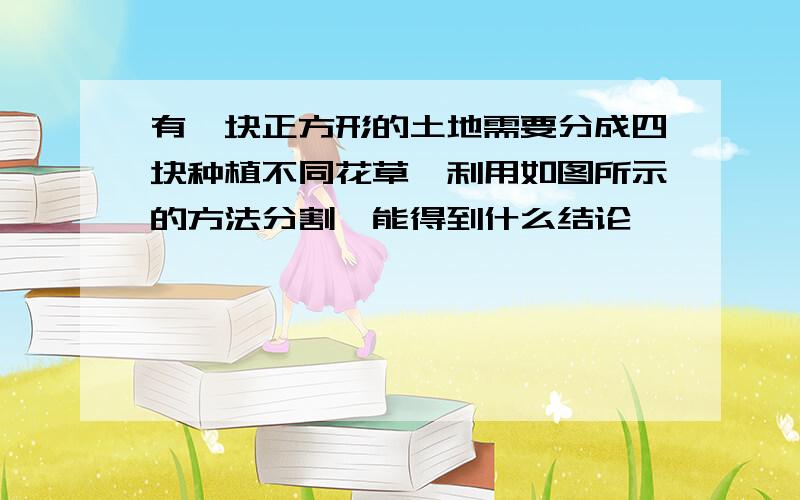 有一块正方形的土地需要分成四块种植不同花草,利用如图所示的方法分割,能得到什么结论