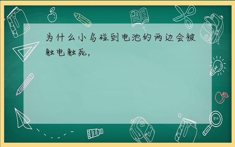 为什么小鸟碰到电池的两边会被触电触死,