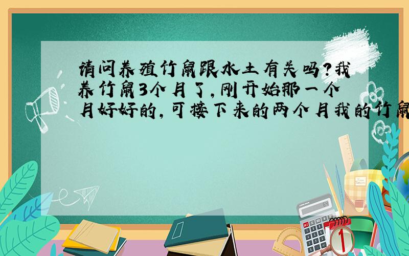 请问养殖竹鼠跟水土有关吗?我养竹鼠3个月了,刚开始那一个月好好的,可接下来的两个月我的竹鼠接连死了5