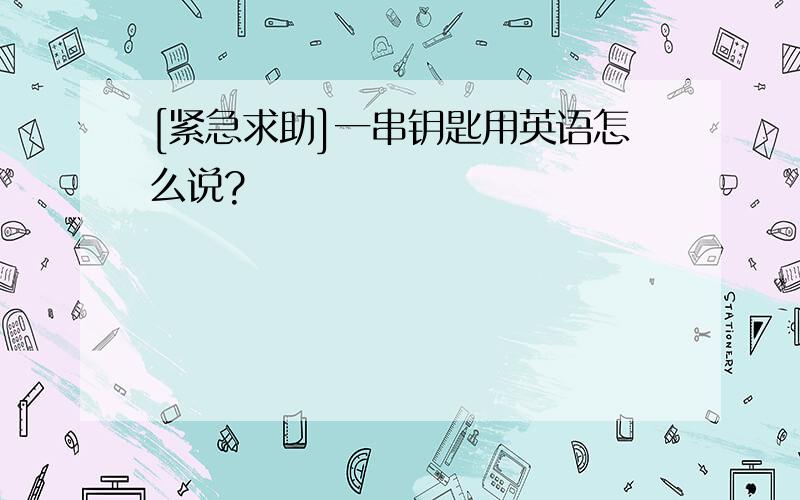 [紧急求助]一串钥匙用英语怎么说?