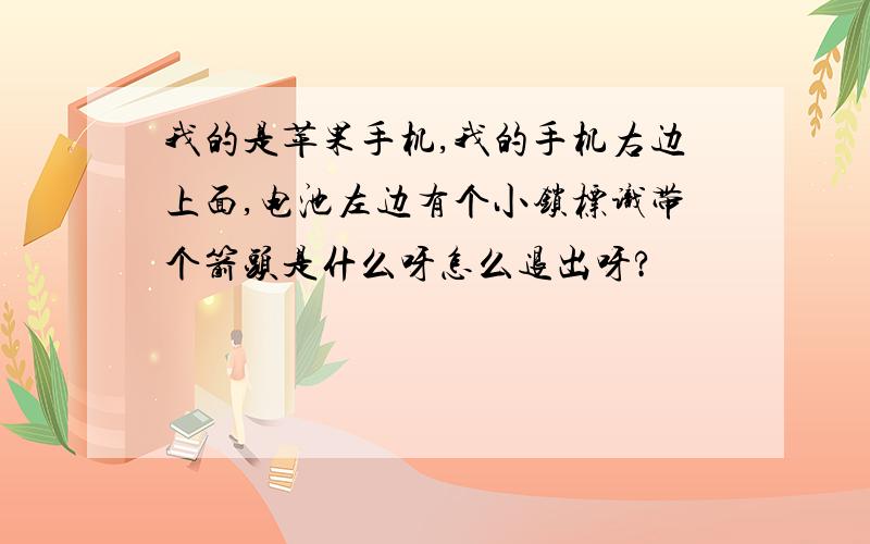 我的是苹果手机,我的手机右边上面,电池左边有个小锁标识带个箭头是什么呀怎么退出呀?