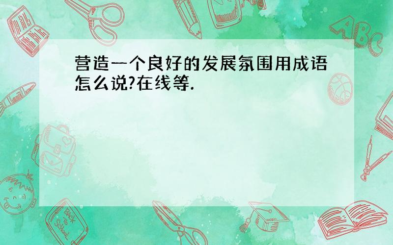 营造一个良好的发展氛围用成语怎么说?在线等.