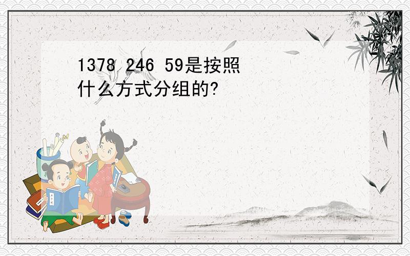 1378 246 59是按照什么方式分组的?