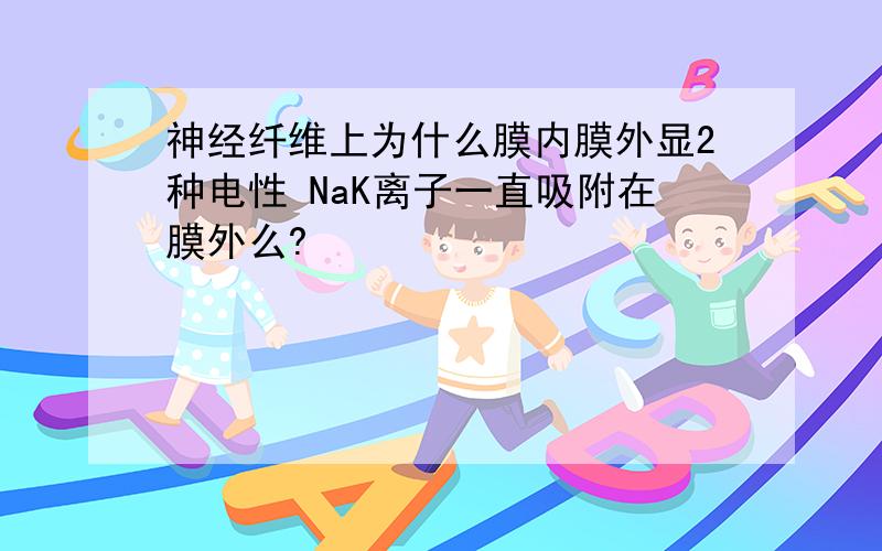 神经纤维上为什么膜内膜外显2种电性 NaK离子一直吸附在膜外么?