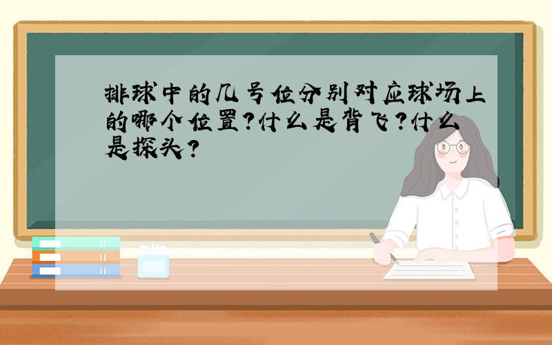 排球中的几号位分别对应球场上的哪个位置?什么是背飞?什么是探头?