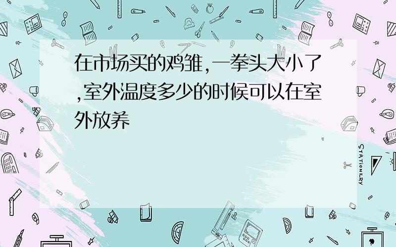 在市场买的鸡雏,一拳头大小了,室外温度多少的时候可以在室外放养