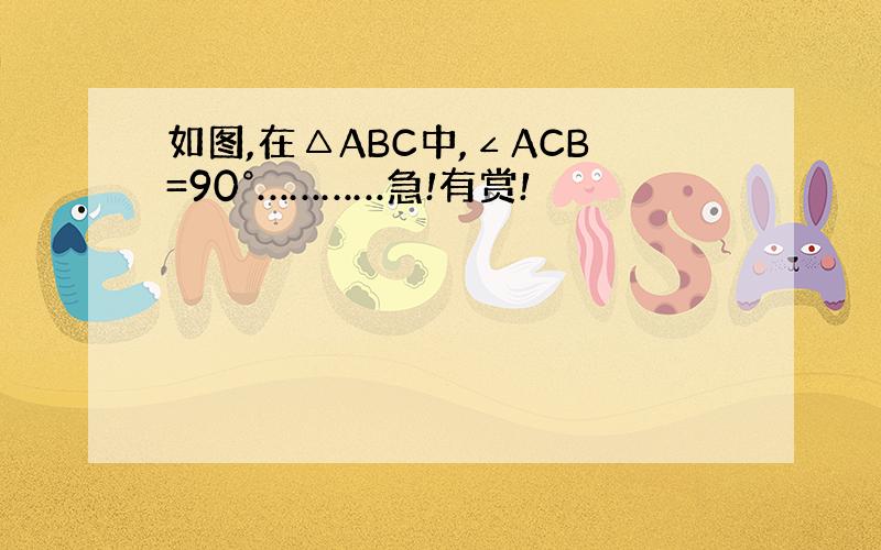 如图,在△ABC中,∠ACB=90°…………急!有赏!