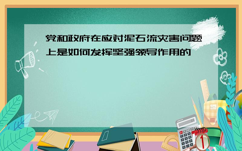 党和政府在应对泥石流灾害问题上是如何发挥坚强领导作用的